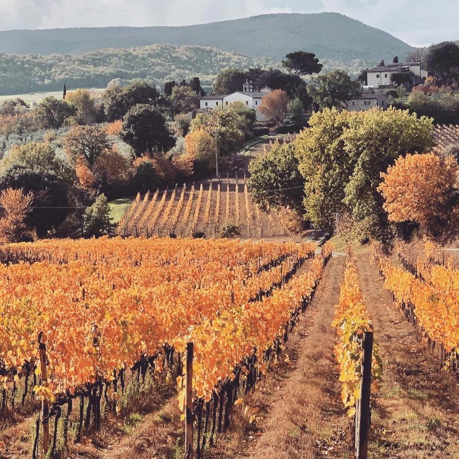 La Falconara Montepulciano Zewnętrze zdjęcie